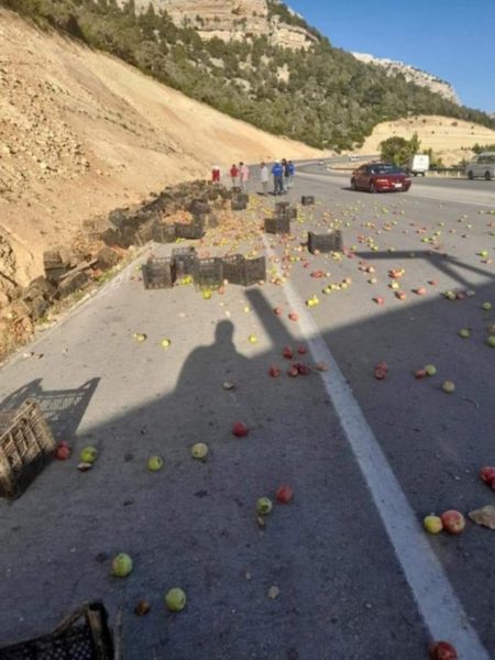 Kamyon kazası can aldı