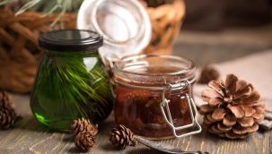 Çam Balının Faydaları Nelerdir?