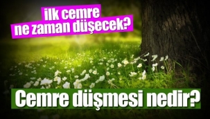 Cemre havaya, suya ve toprağa ne zaman düşecek?