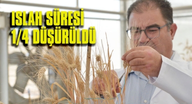 Tarım alanında bir ilk