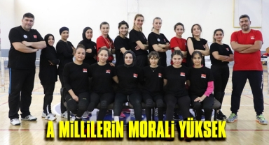 A Milli Takım'ın hedefi madalya