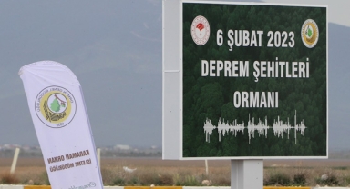 Deprem Şehitleri Hatıra Ormanı oluşturuldu