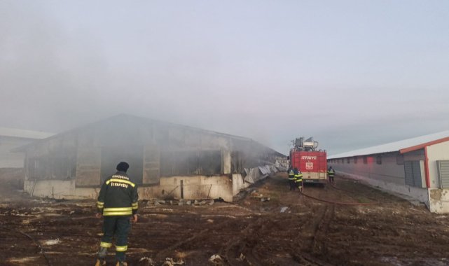Tavuk çiftliğinde çıkan yangını itfaiye ekipleri söndürdü