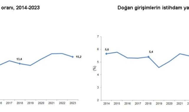 TÜİK: Geçen yıl doğan girişimlerin istihdam payı yüzde 5 oldu