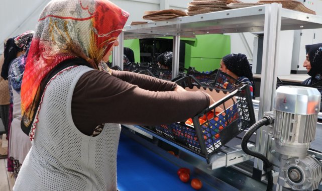 Niğde'nin ürünleri dünyaya açıldı