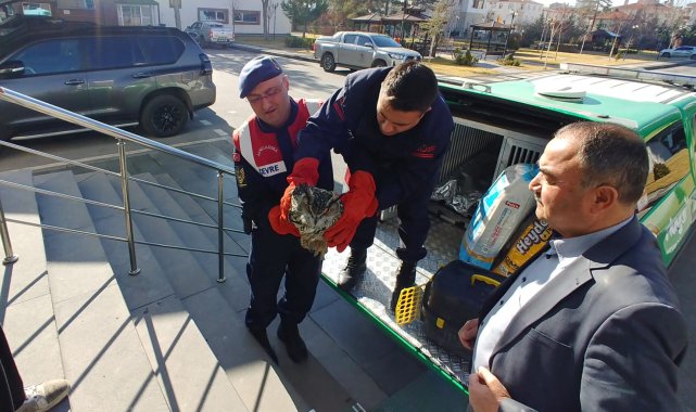 Yaralı bulunan puhu kuşu tedaviye alındı