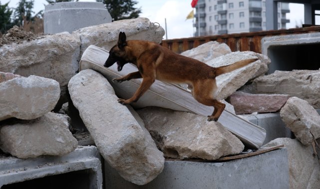 'Ateş', 'Duman' ve 'Atak' afetlere hazırlanıyor