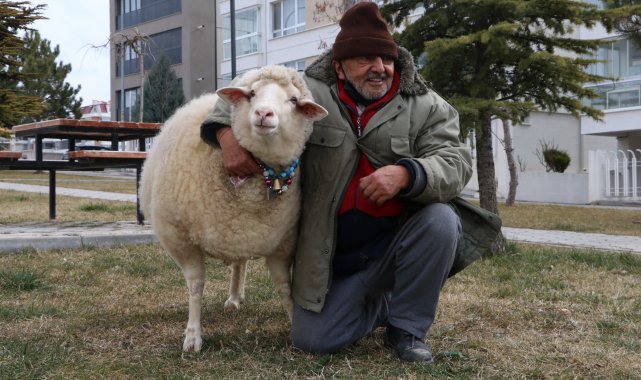 Kuzuyken aldı, 4 yıldır yanından ayrılmıyor