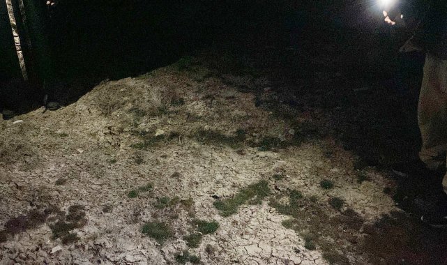 2 yaşındaki Rana, sokak köpeklerinin saldırısında öldü