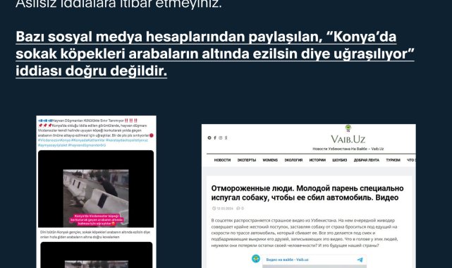 DMM: 'Sokak köpekleri ezilsin diye uğraşılıyor' iddiası doğru değildir