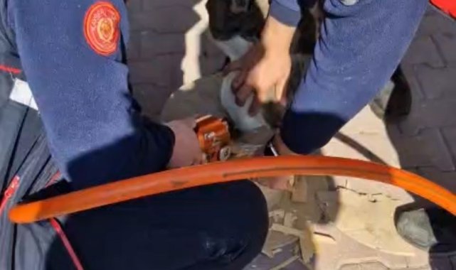 Kayseri itfaiyesi, ahşap makaraya sıkışan kediyi kurtardı