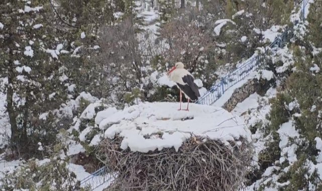 Leylekler Vadisi'nin konuklarına yiyecek bırakıldı