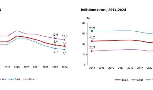 TÜİK: 2024'te işsizlik oranı yüzde 8,7 oldu