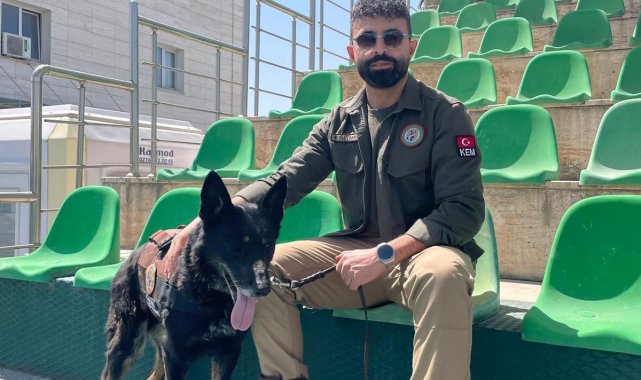 Emekli olan gazi köpeklere özel bakım