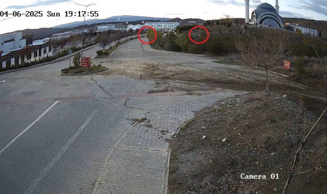 Köpeklerden kaçarken duvardan düşen Arda'nın bacağı kırıldı