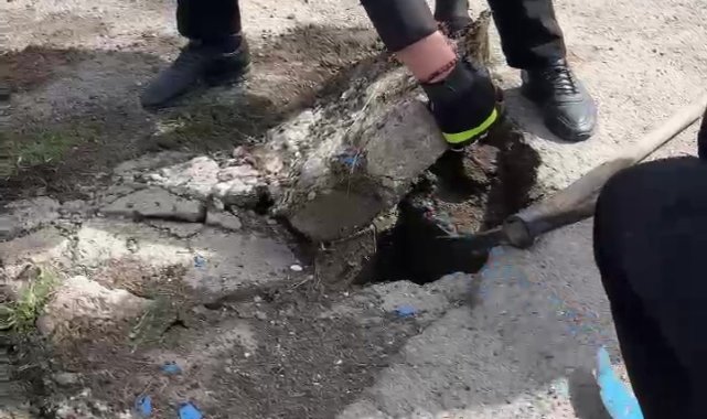 Rögara düşen yavru ördeği itfaiye kurtardı