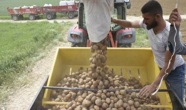 Niğde'de patates ekim sezonu başladı