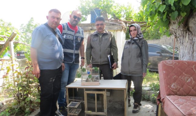 Kırşehir'de yasa dışı saka kuşu ticareti yapan kişiye 77 bin TL ceza