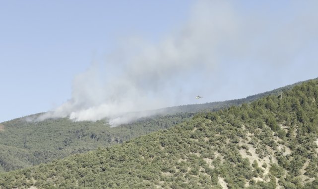 Çankırı'da orman yangını