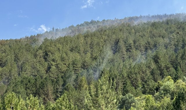 Çankırı'daki yangında 40 hektar orman zarar gördü