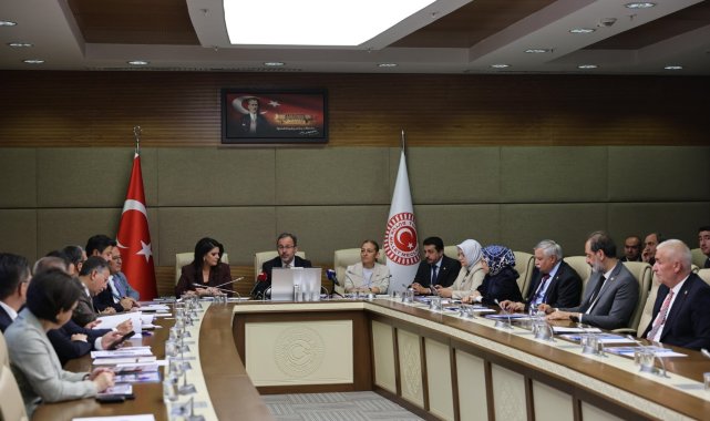 Engelli Bireylerin Sorunlarını Araştırma Komisyonu toplandı