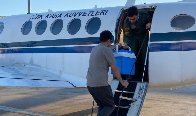 Kalp grefti, Kara Kuvvetleri'ne ait uçakla İstanbul'a ulaştırıldı