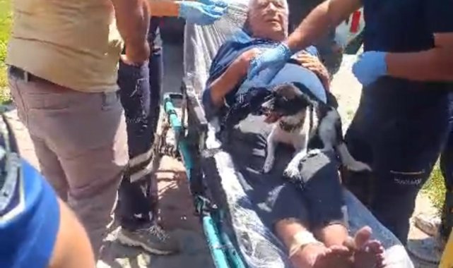 Kazada yaralanan sahibinin ambulansta da başından ayrılmadı