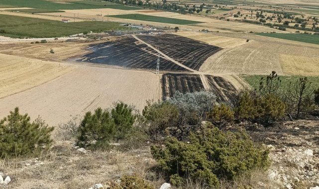Anız yangınında alevler ormana sıçradı