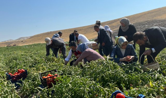 Bakan Yumaklı: Pestisiti azaltma yönünde özellikle kararlıyız