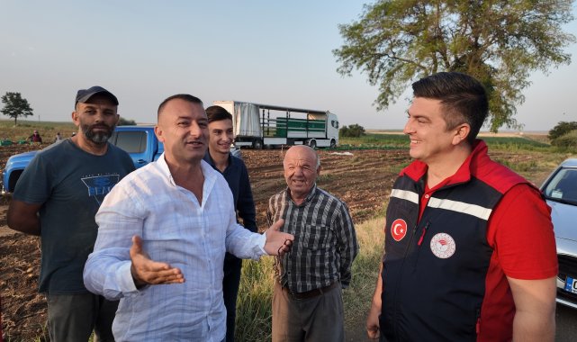 Tarım İl Müdürü Mete, hasada katıldı