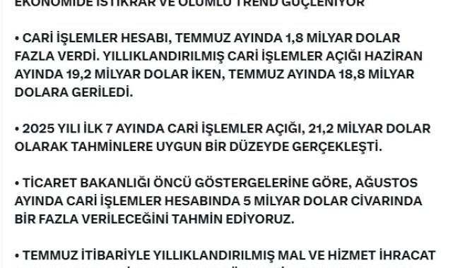 Bakan Bolat: Ağustosta cari işlemler hesabında 5 milyar dolar bir fazla verileceğini tahmin ediyoruz