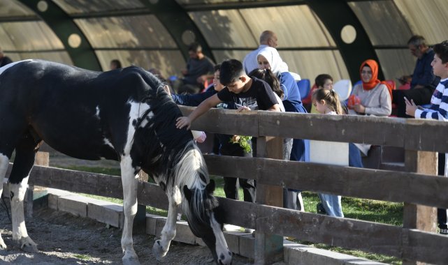 Büyükşehir Belediyesi Hayvanat Bahçesi'ne yoğun ilgi