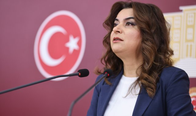 DEM Parti'li Koçyiğit: Tezkerelere 'hayır' oyu vereceğiz