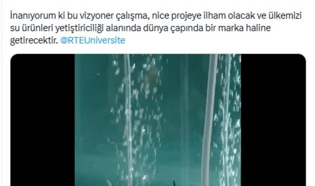 Emine Erdoğan'dan, mersin balığını koruma projesine ilişkin paylaşım