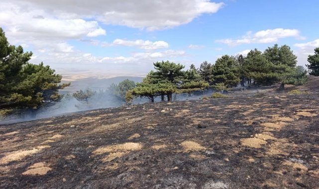 Konya'da orman yangını kontrol altında