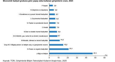 TÜİK: Yapay zeka teknolojileri kullanan girişim oranı arttı