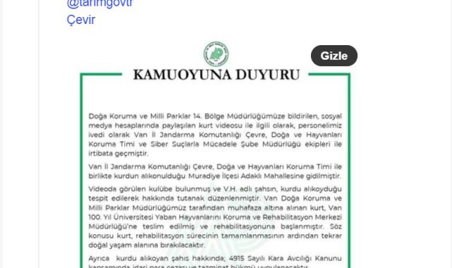 Van'da alıkonulan kurt, DKMP ekipleri tarafından koruma altına alındı