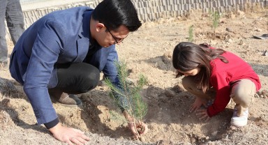 Ayrancık Kaymakamlığı 11 Kasım'da Fidanları Toprakla Buluşturdu