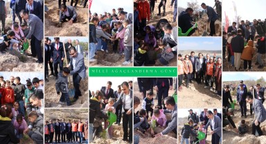 Başkan Kalaycı, Milli Ağaçlandırma Gününde Fidan Dikti