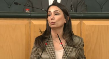 DEM Parti'li Hatimoğulları: Komisyonun Öcalan ile görüşmesi süreci daha da hızlandıracak