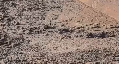 Gübre çukuruna düşen tilki kurtarıldı