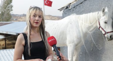 Kadın kuaförü, yelelerine taktığı kaynaklarla atları güzellik yarışmalarına hazırlıyor