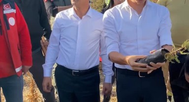 Karaman Valiliği: 1 Milyon Fidan Dikimi İçin Doğru Teknikler Açıklandı