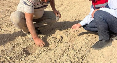 Karaman'da 2026 Sezonu İçin Buğday ve Arpa Ekim Hazırlıkları Devam Ediyor