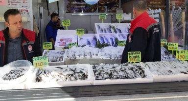 Karaman'da Balık Satış Yerlerinde Hijyen ve Ürün Denetimi Yapıldı