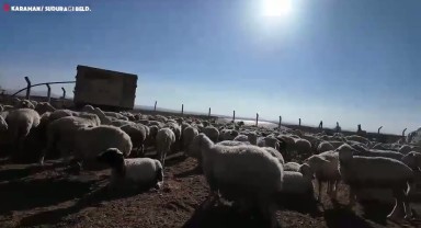Karaman'da Halk Elinde Islah Projesi Kapsamında Üreticilere Önemli Destek