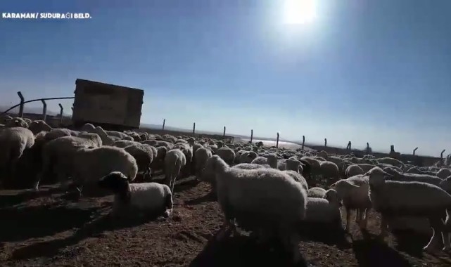 Karaman'da Halk Elinde Islah Projesi Kapsamında Üreticilere Önemli Destek