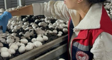 Karaman'da Kültür Mantarı Üretimine Kırsal Kalkınma Desteği Bilgilendirmesi Yapıldı