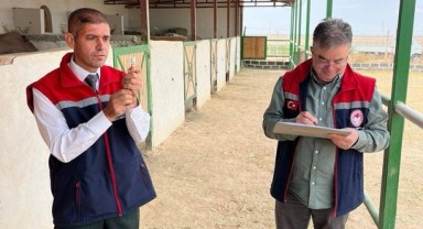 Karaman'da Yarış Atlarına Kapsamlı Aşılama ve Sağlık Kontrolleri Yapıldı