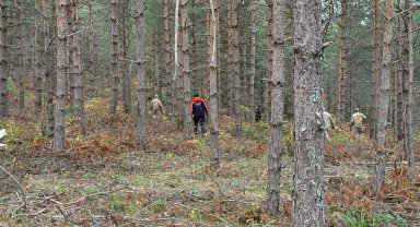 Kastamonu'da kayıp anne ve oğlunu arama çalışmaları 4'üncü günde